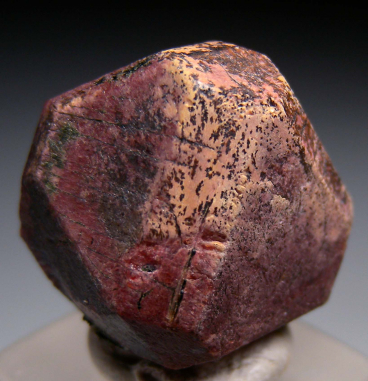 Eudialyte from Putelichorr Mt, Khibiny Massif, Murmansk Oblast, Russia [db_pics/pics/p756a.jpg]