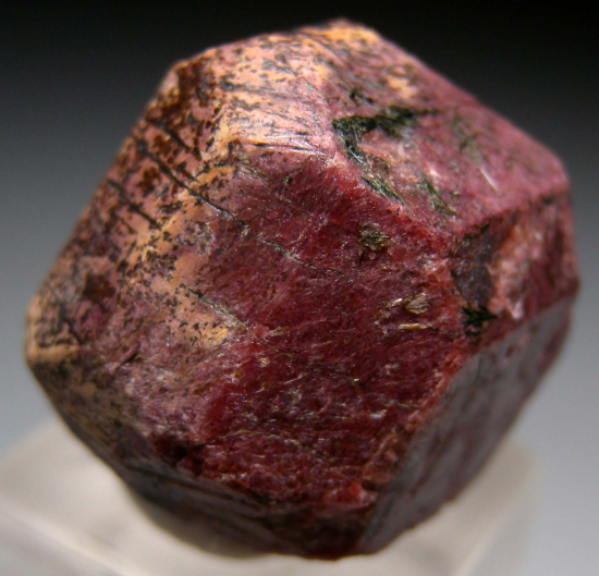 Eudialyte from Putelichorr Mt, Khibiny Massif, Murmansk Oblast, Russia [db_pics/pics/p756b.jpg]