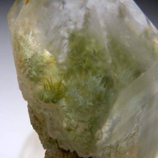 Quartz with Pumpellyite inclusions from Andhra Pardesh, India [db_pics/pics/p760e.jpg]