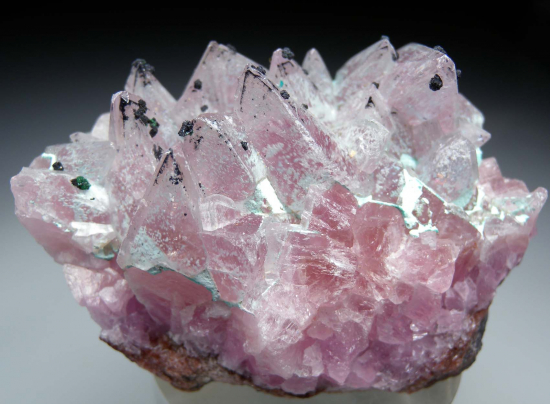 Cobaltian Calcite from Brazzaville, Rep. of Congo [db_pics/pics/p762a.jpg]