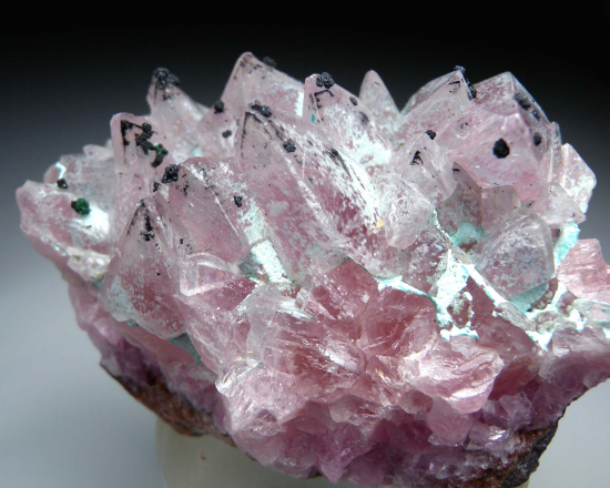 Cobaltian Calcite from Brazzaville, Rep. of Congo [db_pics/pics/p762b.jpg]