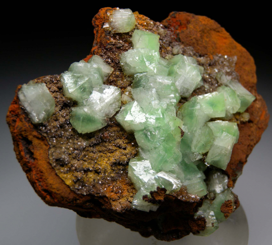 Cuprian Adamite from Mina Oujela, Mapimi, Durango, Mexico [db_pics/pics/p763b.jpg]