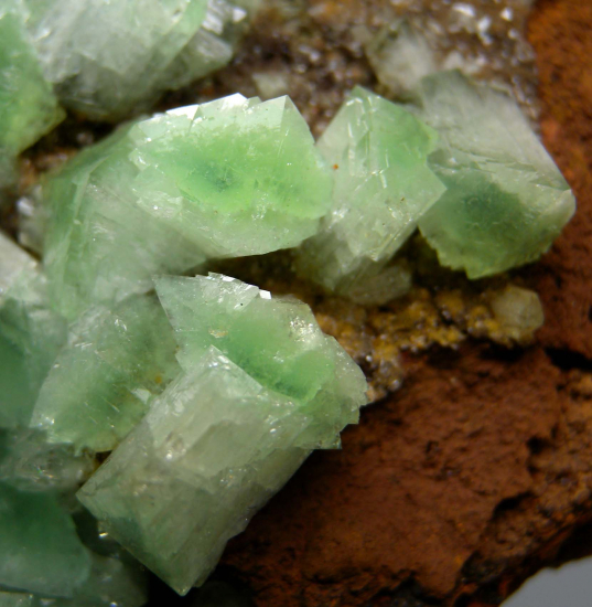 Cuprian Adamite from Mina Oujela, Mapimi, Durango, Mexico [db_pics/pics/p763c.jpg]