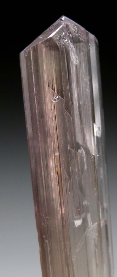 Diaspore from Pinarcik, Mugla Prov., Turkey [db_pics/pics/p811d.jpg]