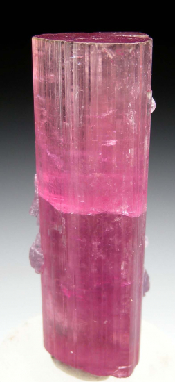 Tourmaline with Lepidolite from Himalaya Mine, Mesa Grande, San Diego Co., California, USA [db_pics/pics/p824a.jpg]