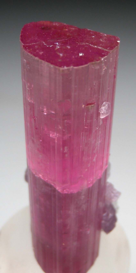 Tourmaline with Lepidolite from Himalaya Mine, Mesa Grande, San Diego Co., California, USA [db_pics/pics/p824c.jpg]