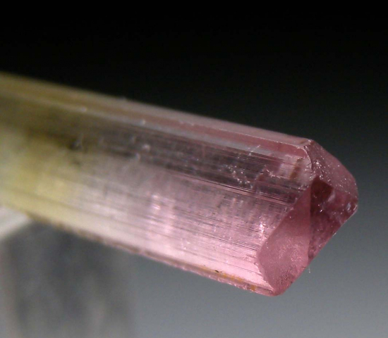 Tourmaline from Himalaya Mine, Mesa Grande, San Diego Co., California, USA [db_pics/pics/p829b.jpg]