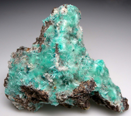 Aurichalcite from 49 Mine, Empire Mining District, Pima Co., Arizona, USA [db_pics/pics/p835a.jpg]