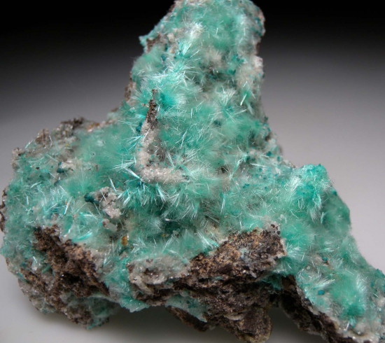 Aurichalcite from 49 Mine, Empire Mining District, Pima Co., Arizona, USA [db_pics/pics/p835b.jpg]