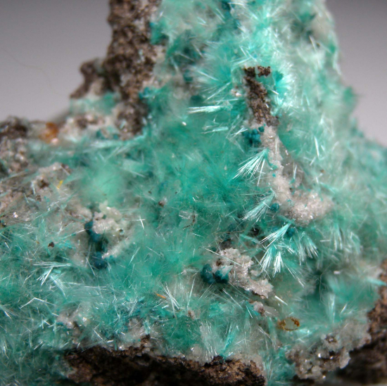 Aurichalcite from 49 Mine, Empire Mining District, Pima Co., Arizona, USA [db_pics/pics/p835c.jpg]