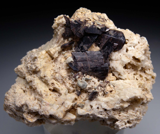 Axinite from Thompson Peak, Plumas Co., California, USA [db_pics/pics/p879a.jpg]