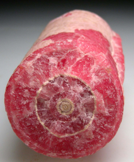 Rhodochrosite from Capillitas Mine, Catamarca, Argentina [db_pics/pics/p886d.jpg]