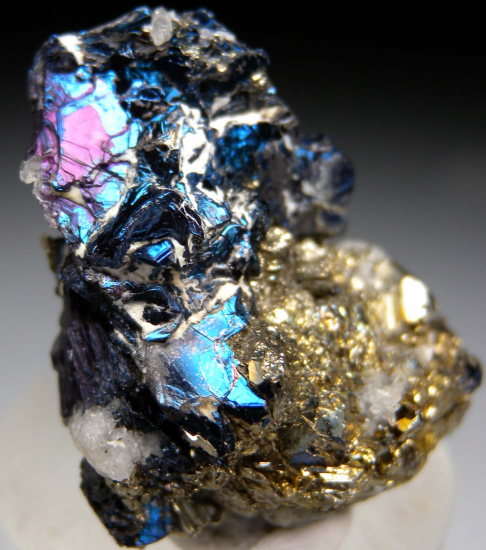 Covellite with Pyrite from Butte, Silver Bow Co., Montana, USA [db_pics/pics/p896b.jpg]