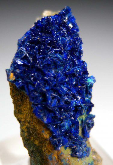 Clinoclase from Majuba Hill Mine, Pershing Co., Nevada, USA [db_pics/pics/p900b.jpg]