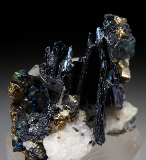 Covellite from Leonard Mine, Butte, Silver Bow Co., Montana, USA [db_pics/pics/p928b.jpg]