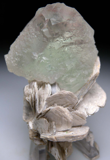 Fluorite on Muscovite from Nagar, Northern Areas, Pakistan [db_pics/pics/p933a.jpg]