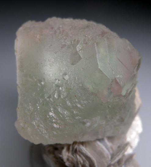 Fluorite on Muscovite from Nagar, Northern Areas, Pakistan [db_pics/pics/p933b.jpg]