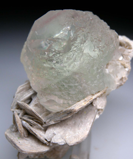 Fluorite on Muscovite from Nagar, Northern Areas, Pakistan [db_pics/pics/p933d.jpg]