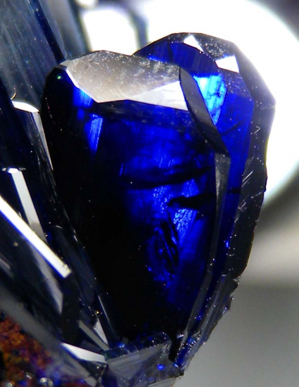 Azurite from Touissit, Morocco [db_pics/pics/p961c.jpg]