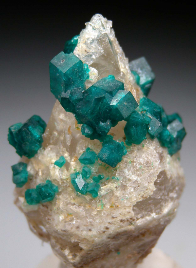 Dioptase on Calcite from Altyn-Tyube, Karagandy Province, Kazakhstan [db_pics/pics/p962c.jpg]