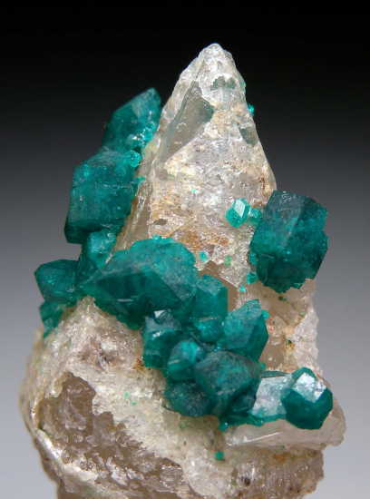 Dioptase on Calcite from Altyn-Tyube, Karagandy Province, Kazakhstan [db_pics/pics/p962d.jpg]