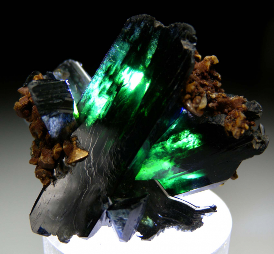 Vivianite from Siglo XX Mine, Llallagua, Potosi, Bolivia [db_pics/pics/p965c.jpg]