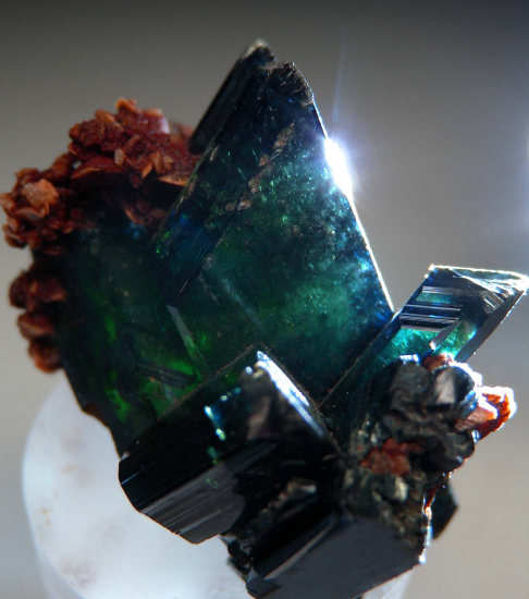 Vivianite from Siglo XX Mine, Llallagua, Potosi, Bolivia [db_pics/pics/p965e.jpg]