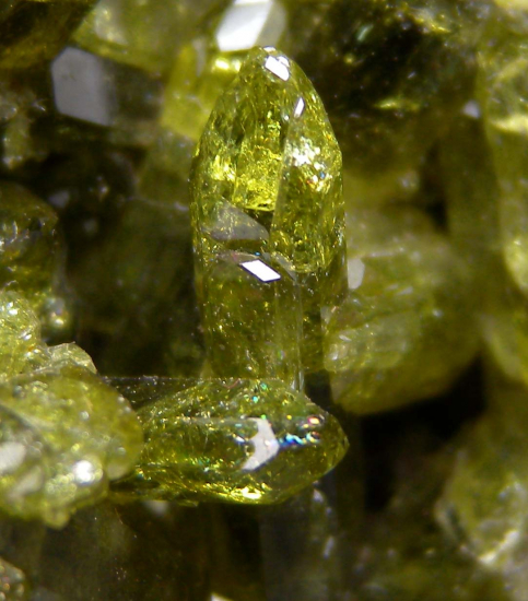 Vesuvianite from Balochistan, Pakistan [db_pics/pics/p968c.jpg]