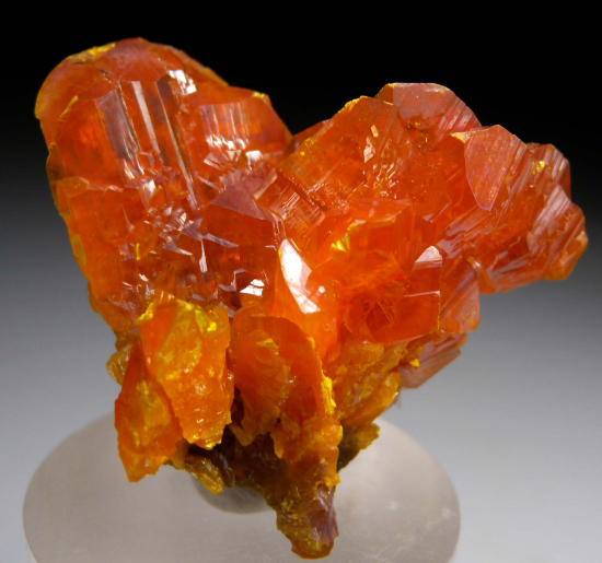 Orpiment from Twin Creeks Mine, Humboldt Co., Nevada, USA [db_pics/pics/p983a.jpg]