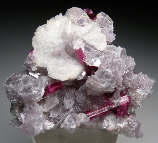 Tourmaline on Lepidolite from Jonas Mine, Itatiaia, Minas Gerais, Brazil [db_pics/pics/p986a.jpg]