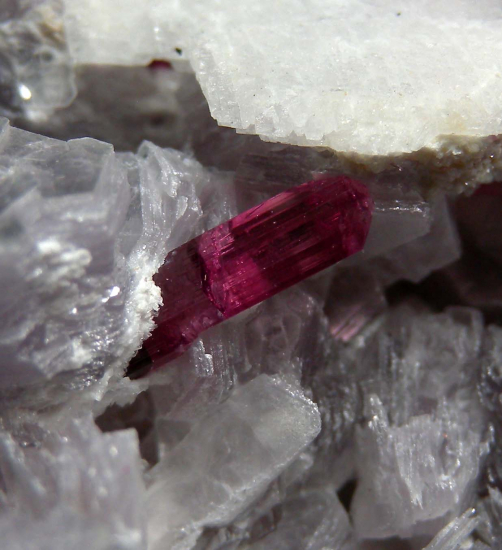 Tourmaline on Lepidolite from Jonas Mine, Itatiaia, Minas Gerais, Brazil [db_pics/pics/p986c.jpg]