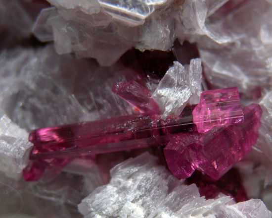 Tourmaline on Lepidolite from Jonas Mine, Itatiaia, Minas Gerais, Brazil [db_pics/pics/p986d.jpg]