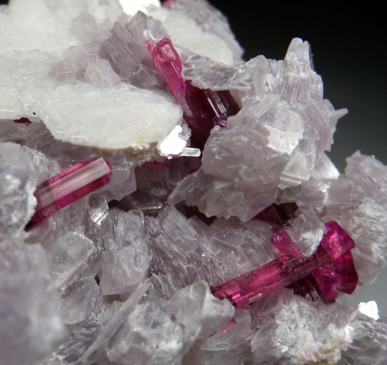 Tourmaline on Lepidolite from Jonas Mine, Itatiaia, Minas Gerais, Brazil [db_pics/pics/p986e.jpg]