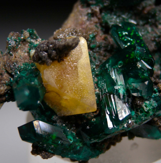 Dioptase with Wulfenite from Angola [db_pics/pics/p987c.jpg]