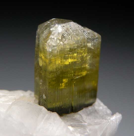 Elbaite with Albite from Stak Nala, Skardu District, Pakistan [db_pics/pics/pak119c.jpg]