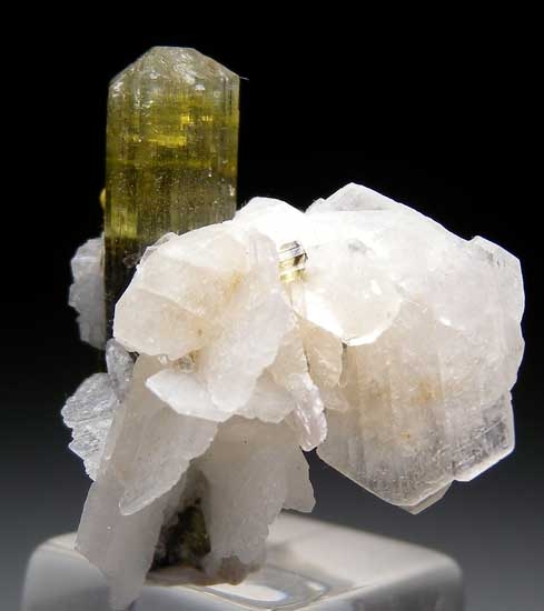 Elbaite with Albite from Stak Nala, Skardu District, Pakistan [db_pics/pics/pak119d.jpg]
