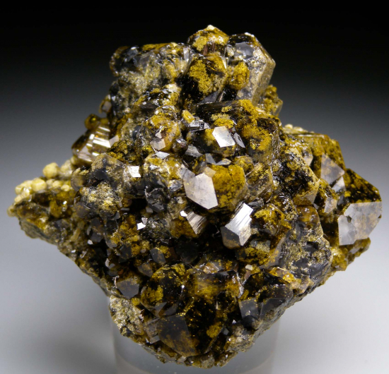 Grossular with Vesuvianite from Chihuahua, Mexico [db_pics/pics/r126a.jpg]