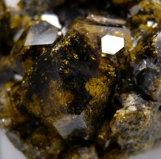 Grossular with Vesuvianite from Chihuahua, Mexico [db_pics/pics/r126c.jpg]