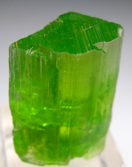 Tremolite from Merelani Hills, Arusha, Tanzania [db_pics/pics/r131a.jpg]
