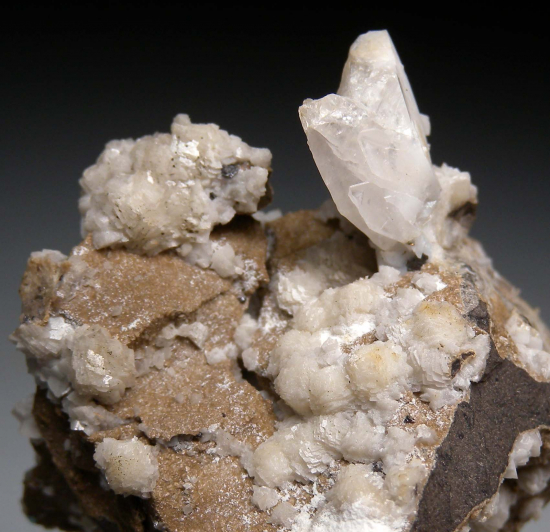 Whewellite, Ankerite from Kladno, Central Bohemia, Czech Republic [db_pics/pics/r140d.jpg]