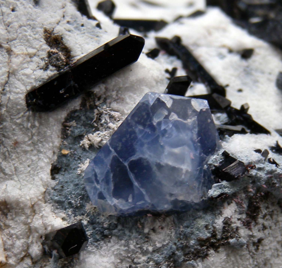 Benitoite, Neptunite from Gem Mine, San Benito Co., California, USA [db_pics/pics/r177c.jpg]