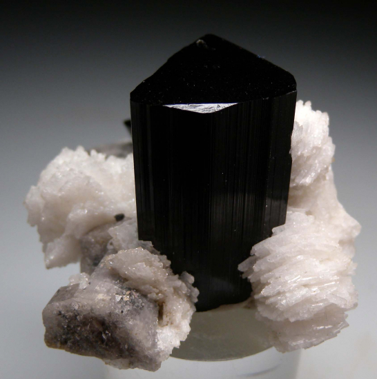 Tourmaline with Apatite from Nuristan, Afghanistan [db_pics/pics/r182b.jpg]