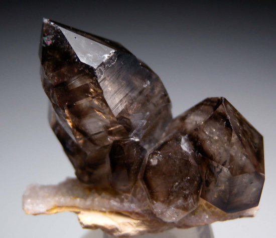 Smokey Quartz from Anderson's Gully, Moorella, Victoria, Australia [db_pics/pics/r185b.jpg]