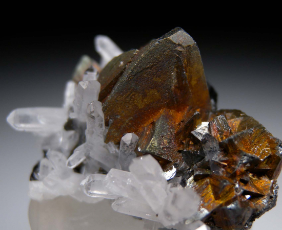 Tetrahedrite with Quartz from Casapalca Mine, Casapalca, Huarochiri Province, Lima, Peru [db_pics/pics/r189c.jpg]