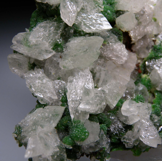 Calcite on Conichalcite from Mina Ojuela, Mapimi, Durango, Mexico [db_pics/pics/r233c.jpg]