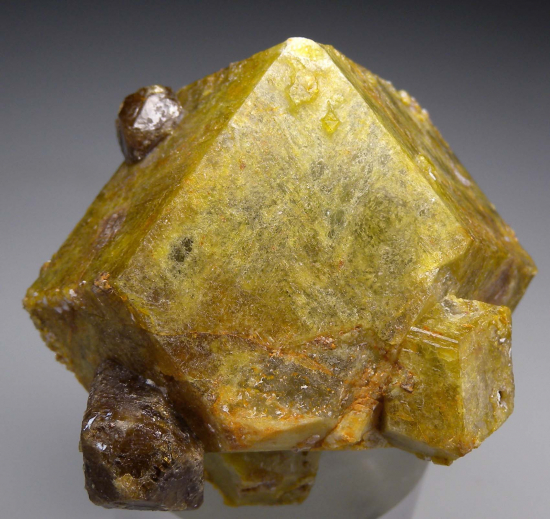 Vesuvianite on Grossular from Sierra de Cruces, Sierra Mojada Municipality, Coahuila, Mexico [db_pics/pics/r249a.jpg]