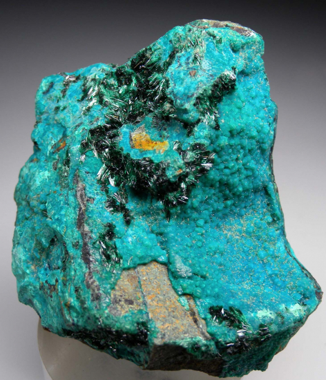 Atacamite on Chrysocolla from La Farola Mine, Copiapo, Atacama Region, Chile [db_pics/pics/r251c.jpg]