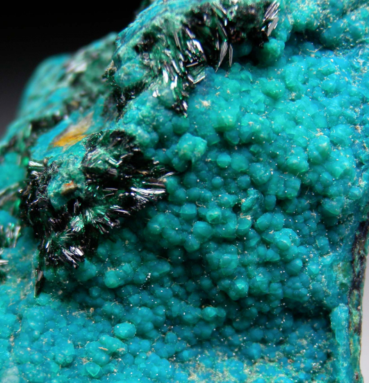 Atacamite on Chrysocolla from La Farola Mine, Copiapo, Atacama Region, Chile [db_pics/pics/r251d.jpg]