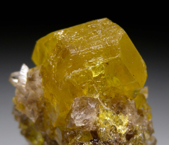 Sulfur with Calcite from Maybee Quarry, Monroe Co., Michigan, USA [db_pics/pics/r255c.jpg]