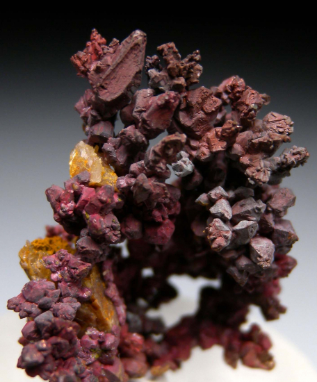 Copper from Bisbee, Cochise Co., Arizona, USA [db_pics/pics/r256d.jpg]